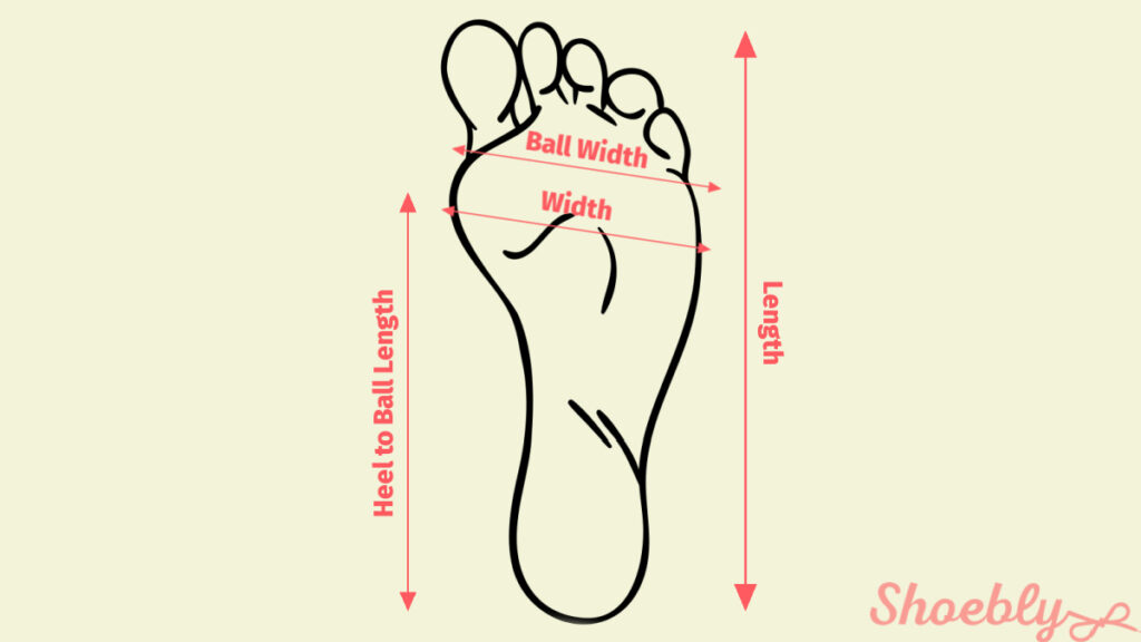 foot dimensions by shoebly